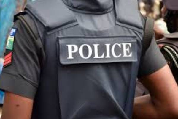 Police Arrest Man For Killing Father In Maiduguri [Video]