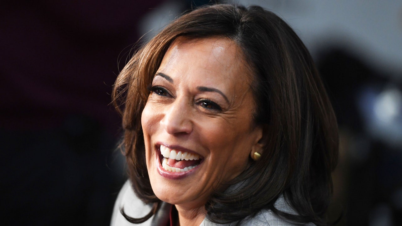 The Best Kamala Is Brat Memes and Fan Cams, in Case You Still Dont Get It [Video]