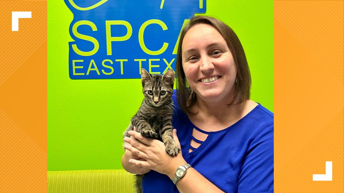 SPCA of East Texas adds new executive director [Video]