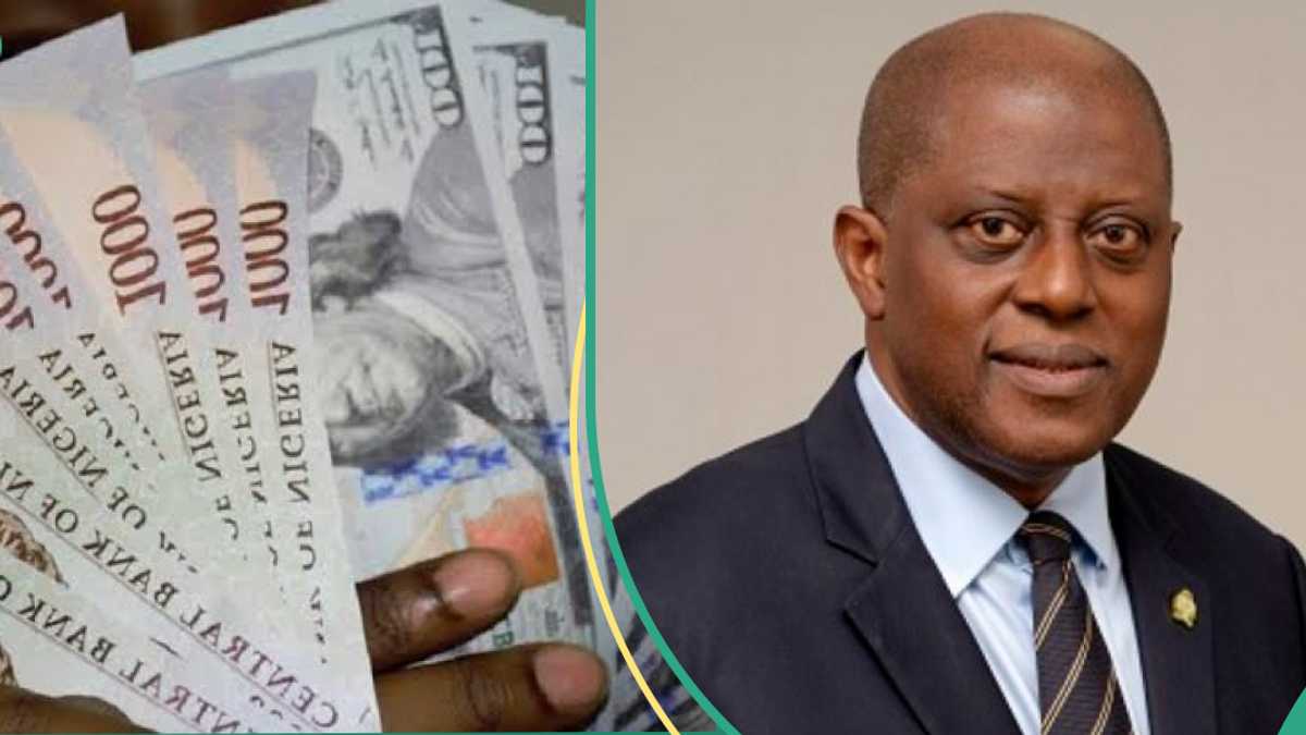 Report Identifies Two Factors That Will Stabilise Naira to Dollar as Analysts Project New Rate [Video]