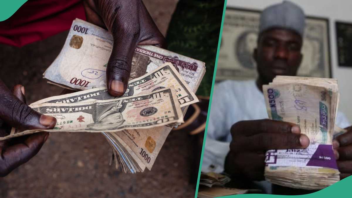 Naira Bounces Back, Records Biggest Gain in Months Against Dollar As Traders Quote New Exchange Rate [Video]