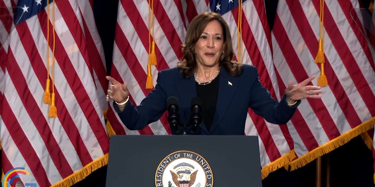 VP Harris to pick running mate [Video]