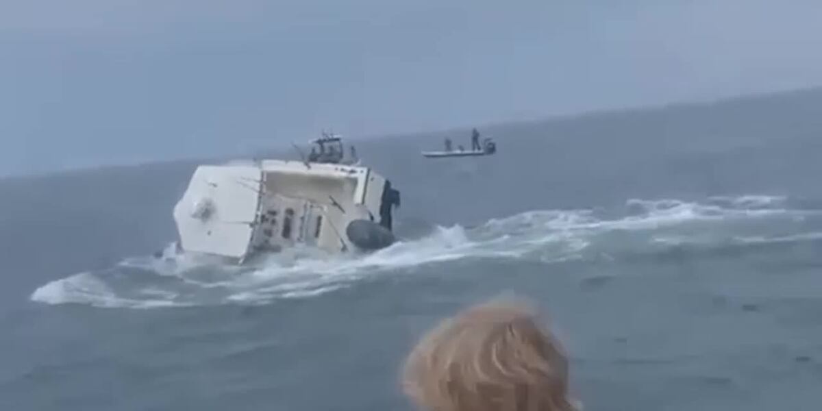 Whale lands on boat, throws people into ocean [Video]