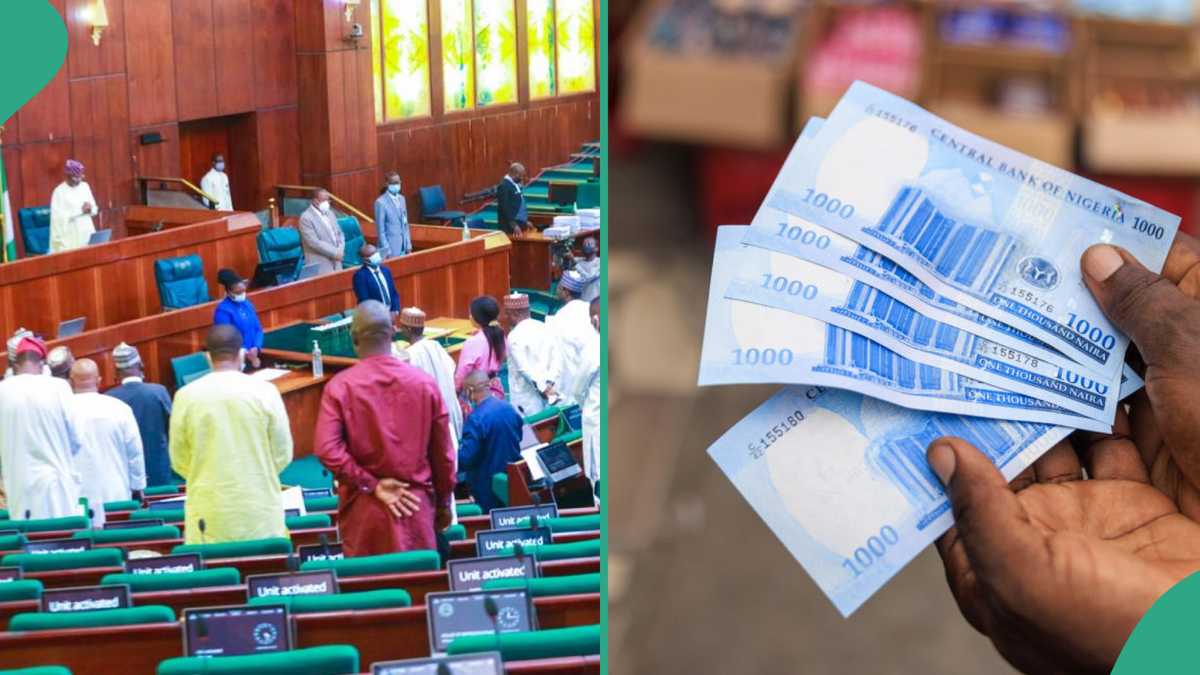 House of Reps Approves FG’s Plans To Remove N2trn from Access, UBA, Zenith, Other Banks Accounts [Video]