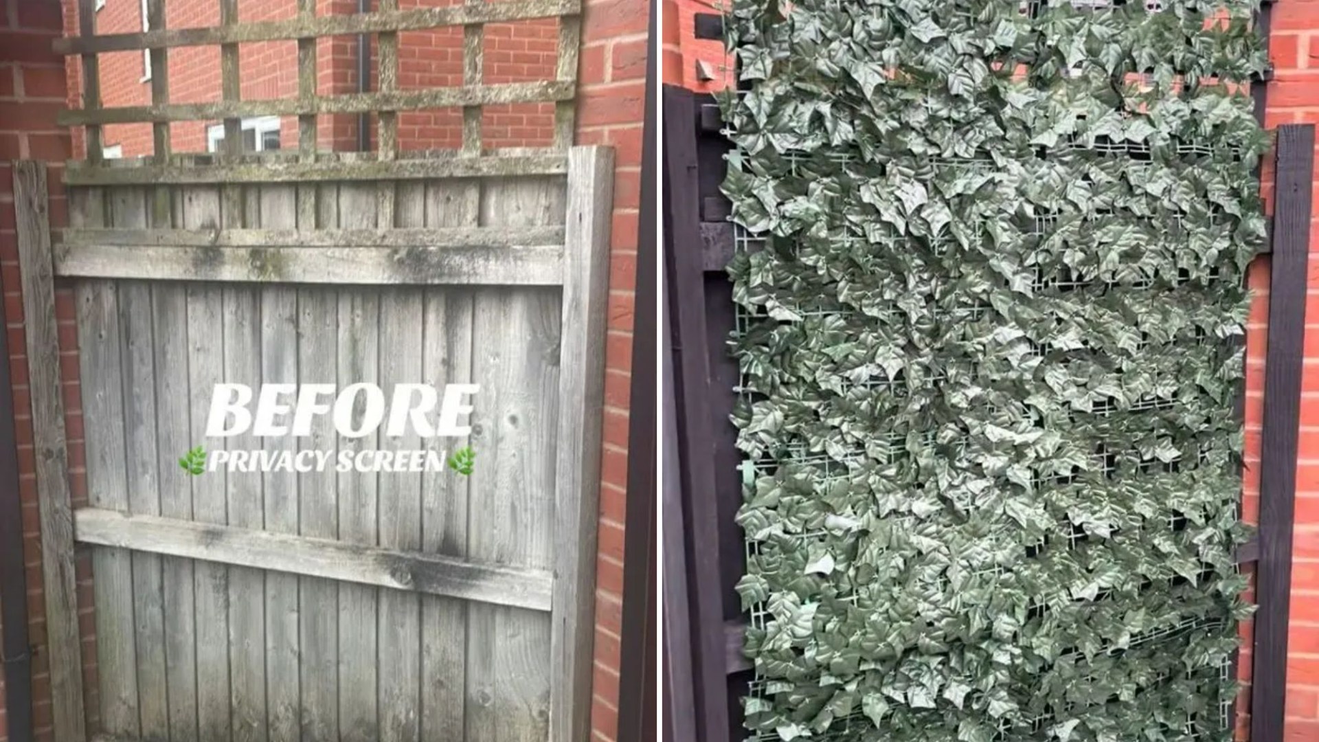 I transformed our old, green algae-covered trellis into a privacy fence for 13.99 & it even has a secret double use [Video]