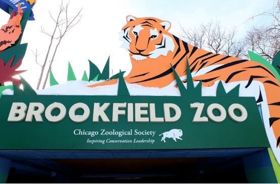 Brookfield Zoo investigating data breach [Video]