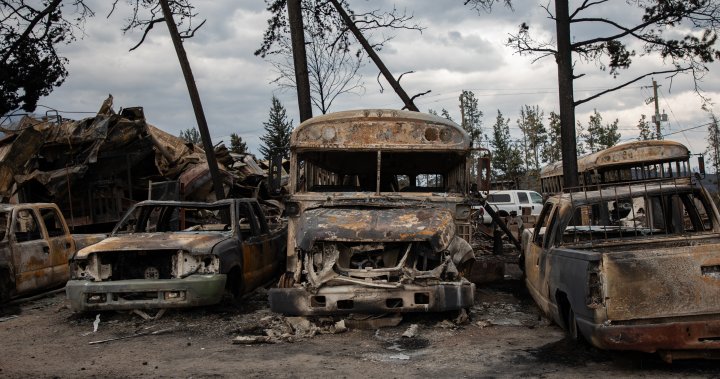 Jasper officials to provide closer look at wildfire damage [Video]