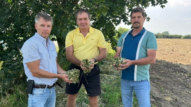 Community members express anger over apparent destruction of corn crop in Wilmot Township [Video]