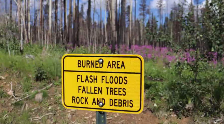 Expo to connect Hermits Peak Calf Canyon wildfire victims with contractors [Video]