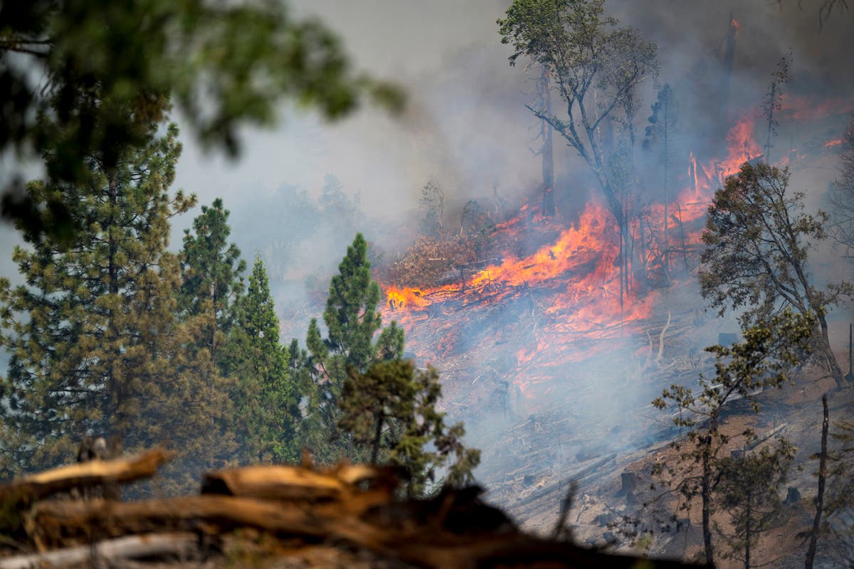 Park Fire nears Paradise, California, town that was incinerated in 2018 in states deadliest fire [Video]