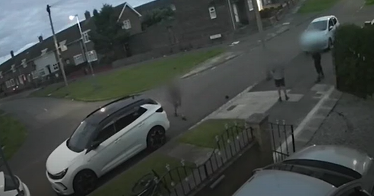 Boys, 12, interviewed after shocking video captures yobs ‘playing football’ with hedgehog