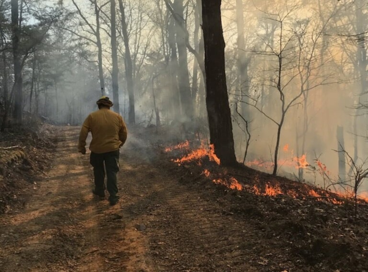 Alabama wildfires up 160%, second largest increase in nation, survey finds [Video]