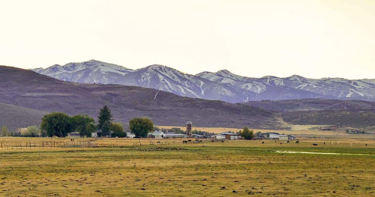 ‘Ballerina Farm’ family could build Kamas Valley store, creamery after annexation [Video]