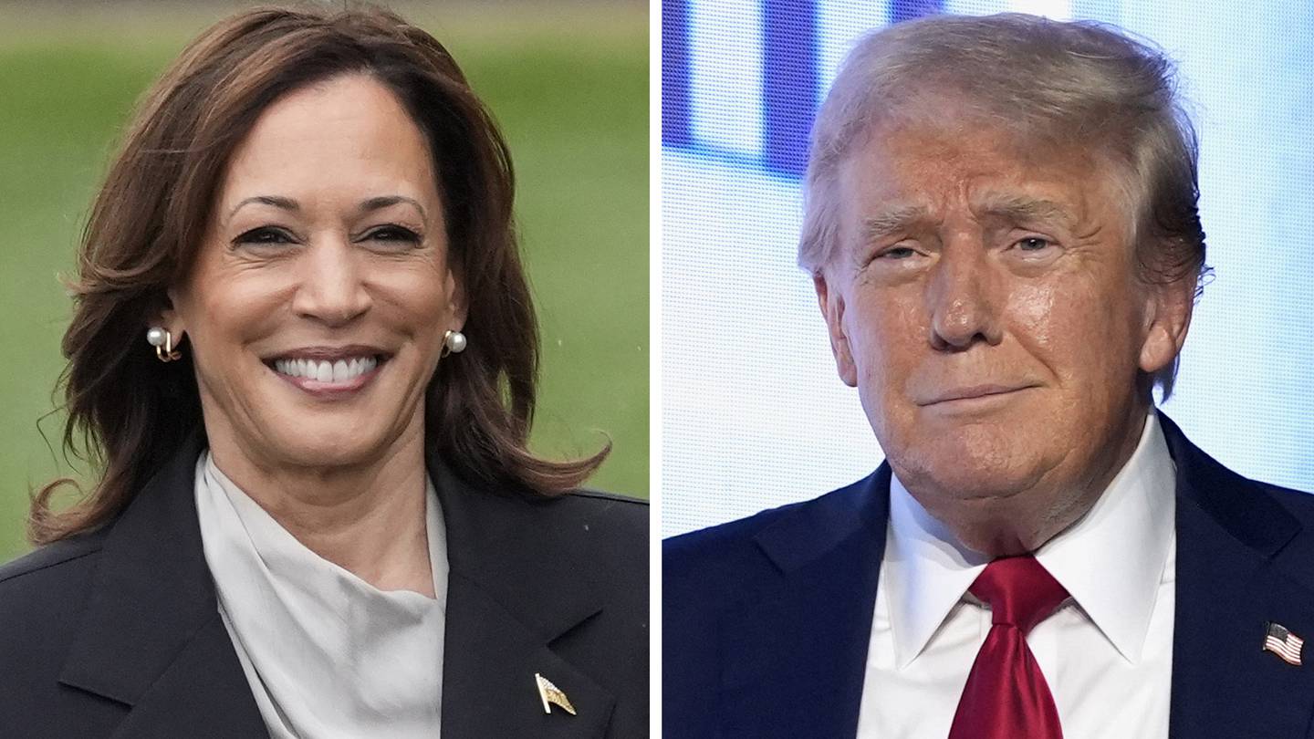 How Harris and Trump differ on artificial intelligence policy  WFTV [Video]