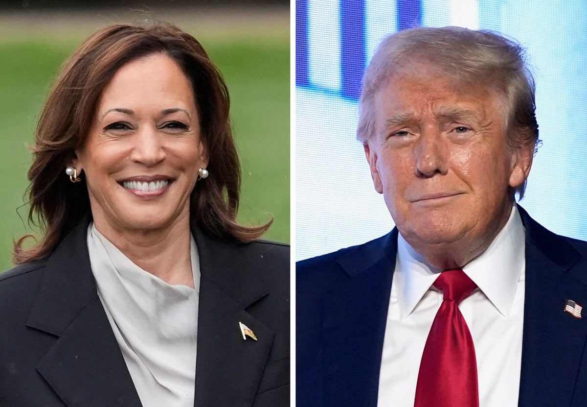 Russia backs Trump and Iran supports Harris in efforts to influence the election, US intelligence says [Video]