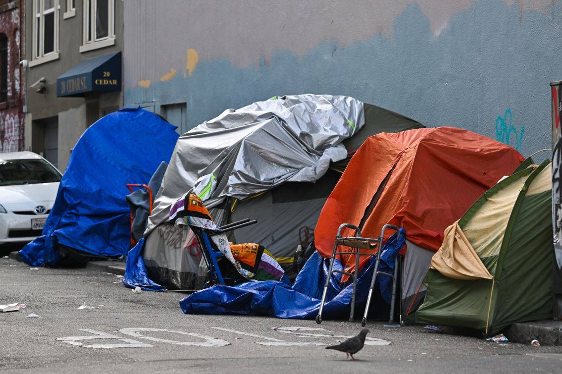 Advocates push for San Francisco to house homeless in empty homes [Video]