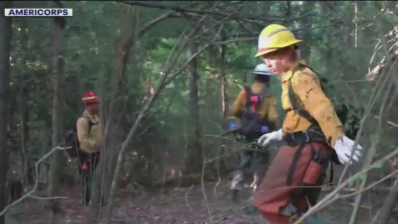 New Forest Corps program launches in July [Video]