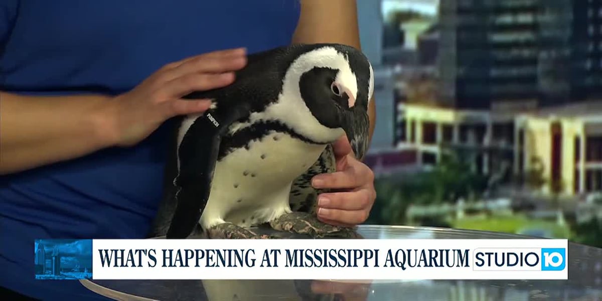 Upcoming events at the Mississippi Aquarium [Video]