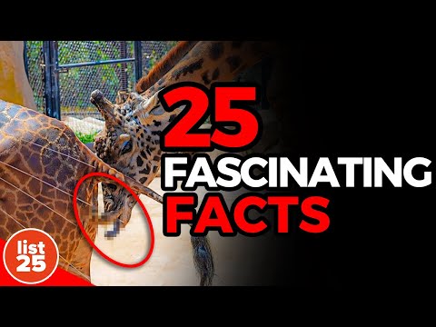 25 Fascinating Facts Even Trivia Experts Don’t Know [Video]