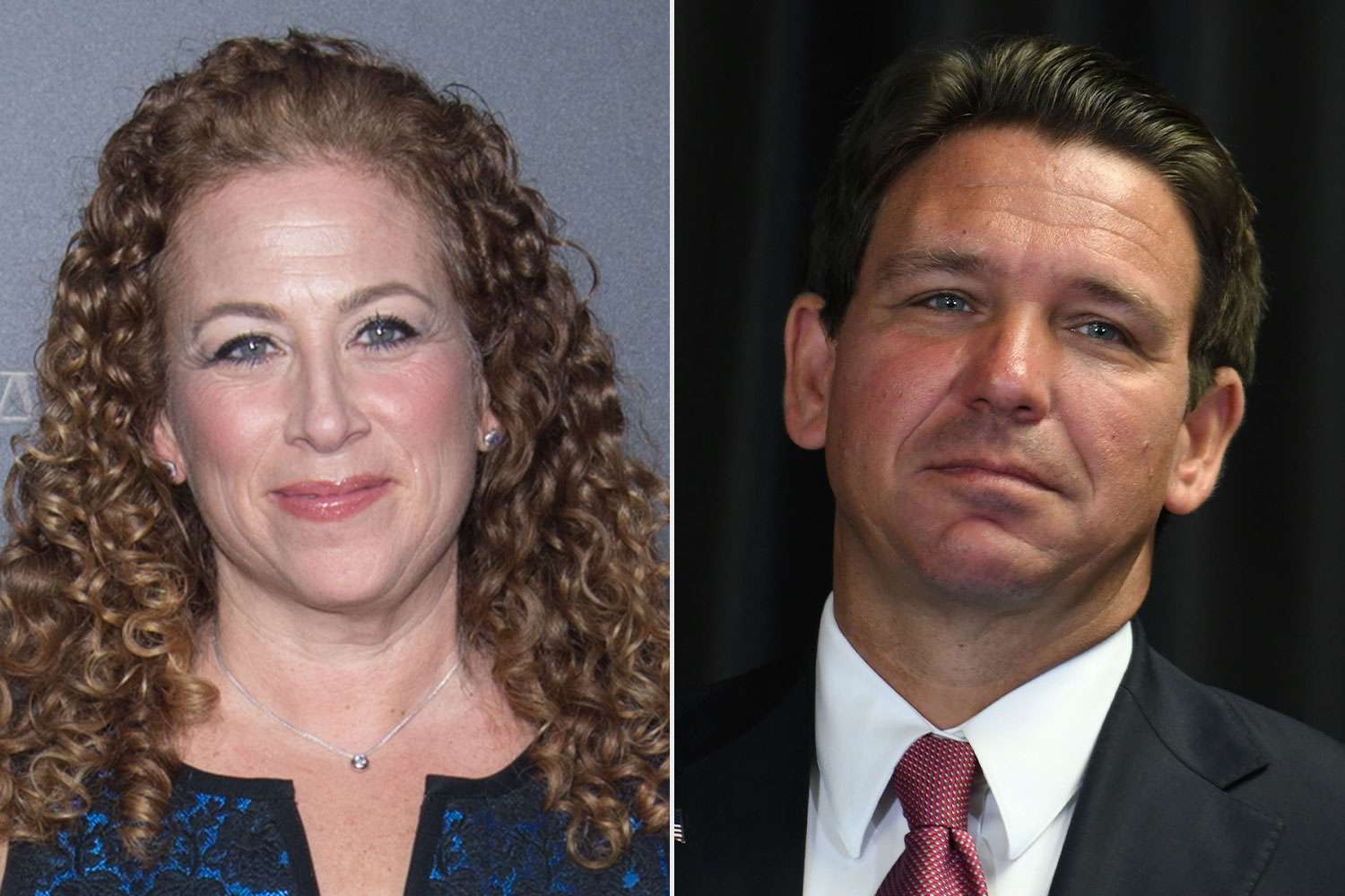 Jodi Picoult Signs Anti-Censorship Letter to Ron DeSantis [Video]