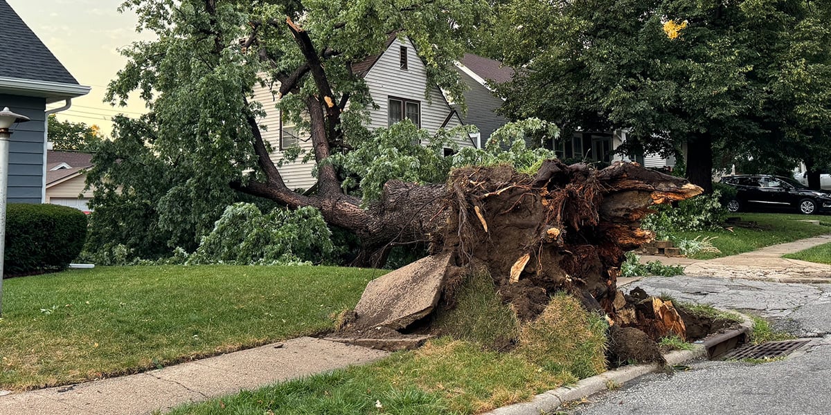 Thousands without power in Omaha-metro after severe weather blows through [Video]