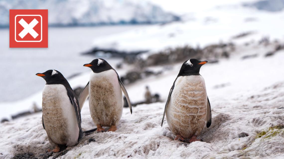 Antarctica is not gaining land ice [Video]