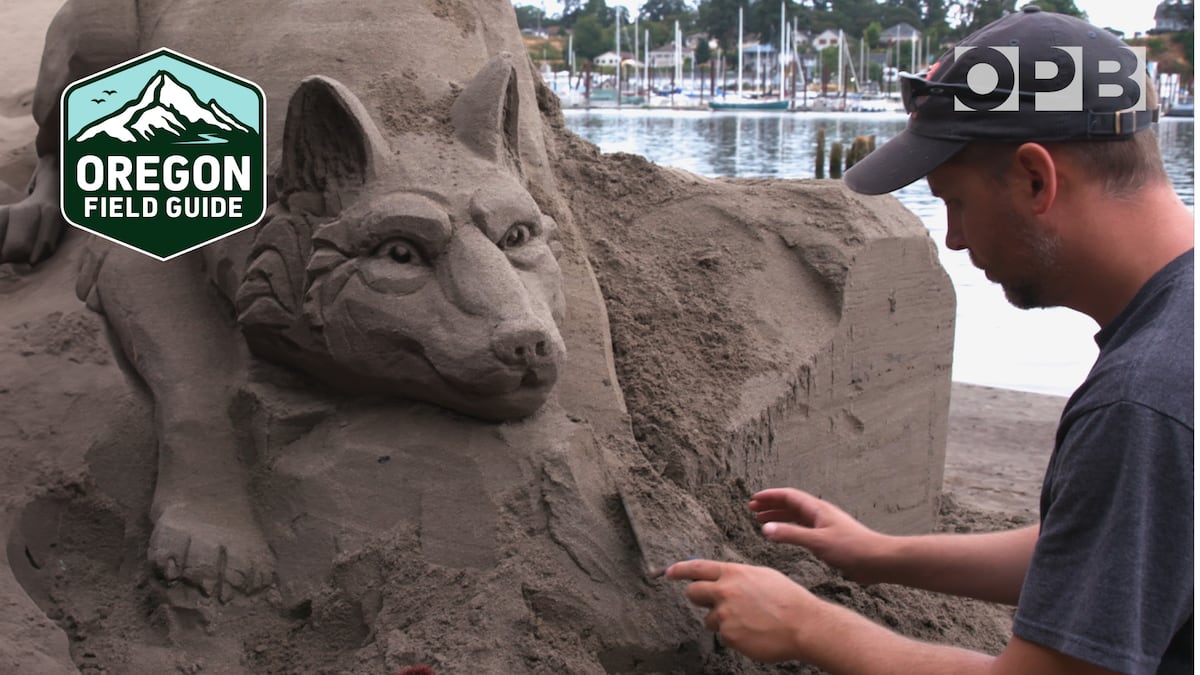 Annual St. Helens sand castle contest draws top talent to sculpt the shoreline [Video]