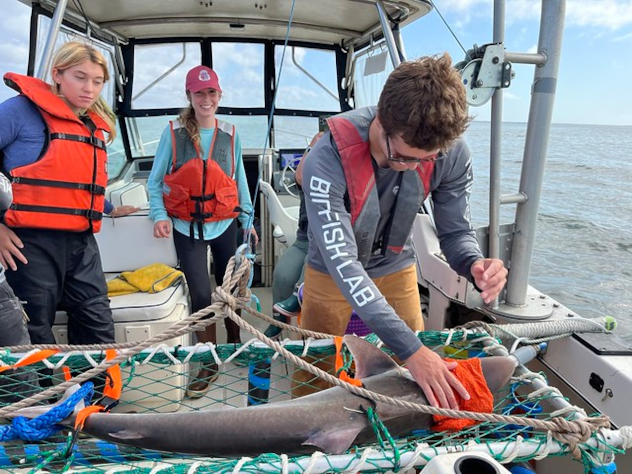 Surprising new shark species in NW waters: Theyre not supposed to be here [Video]