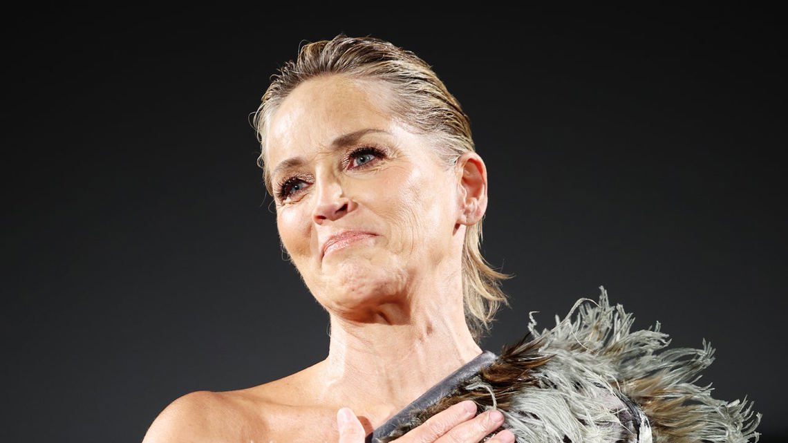 Sharon Stone Reveals How She Got a Massive Black Eye Amid ‘Tough’ Trip to Turkey [Video]