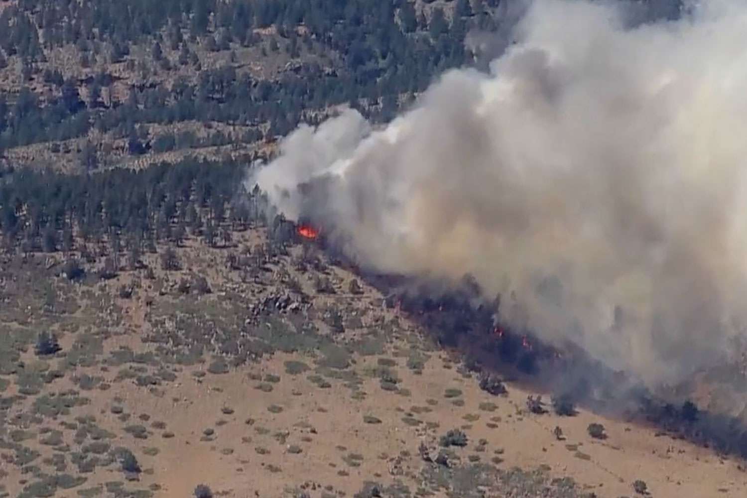 Human Remains Found in House Destroyed by Colorado’s Stone Canyon Fire [Video]