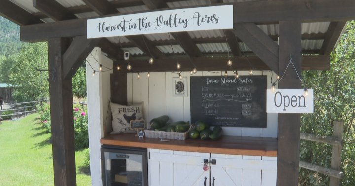 Shuswap Farmstand Tour launches with interactive map to help support local farmers – Okanagan [Video]