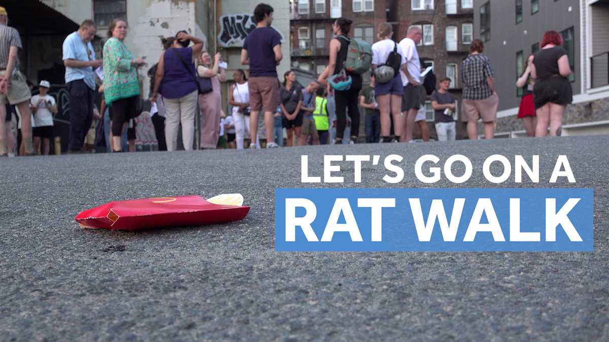 Boston Rat Walk highlights one neighborhood’s rodent hotspots [Video]