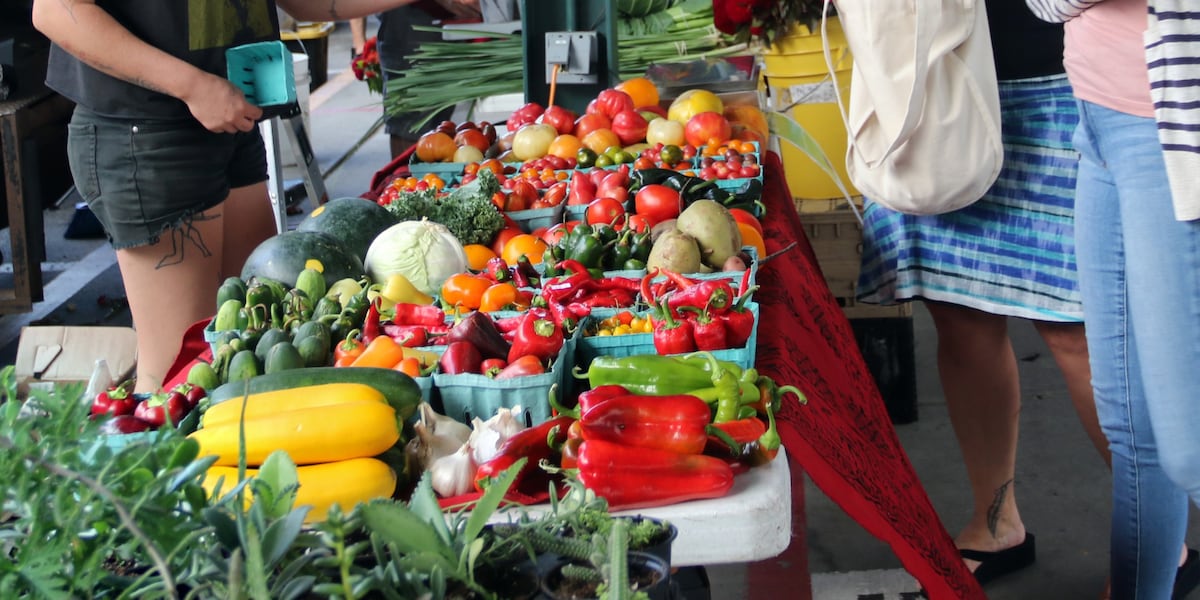 National Farmers Market week kicks off first week of August [Video]