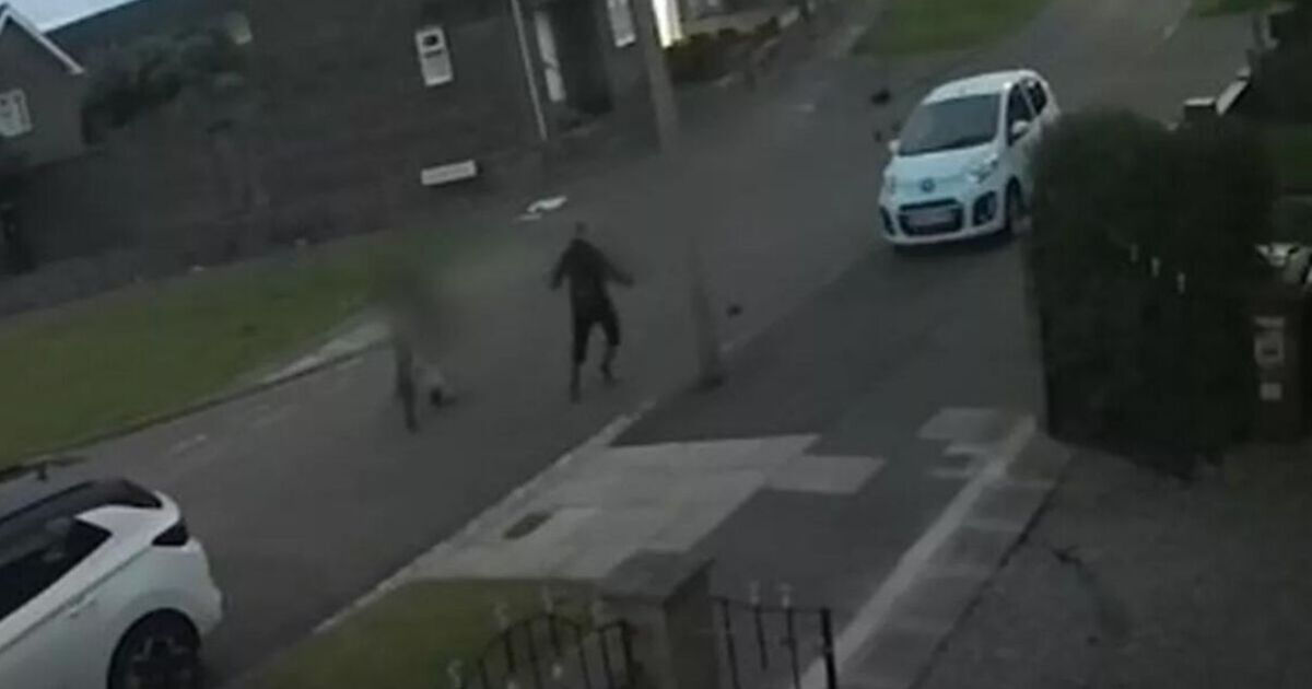 Sickening footage catches yobs kick hedgehog | UK | News [Video]