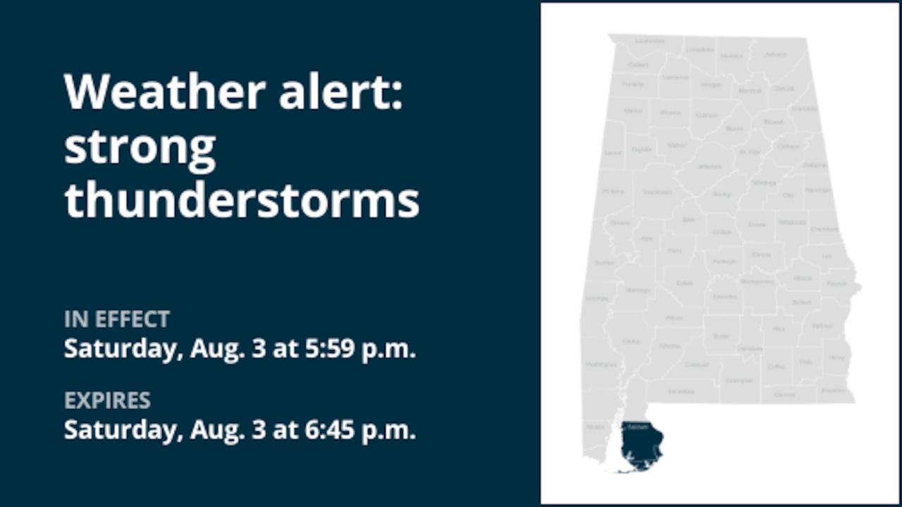 Weather alert issued for strong thunderstorms in Baldwin County Saturday evening [Video]