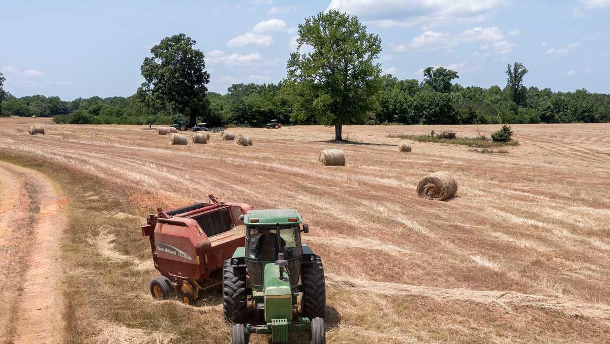 Black farmers ask courts to add heirs in discrimination relief program [Video]