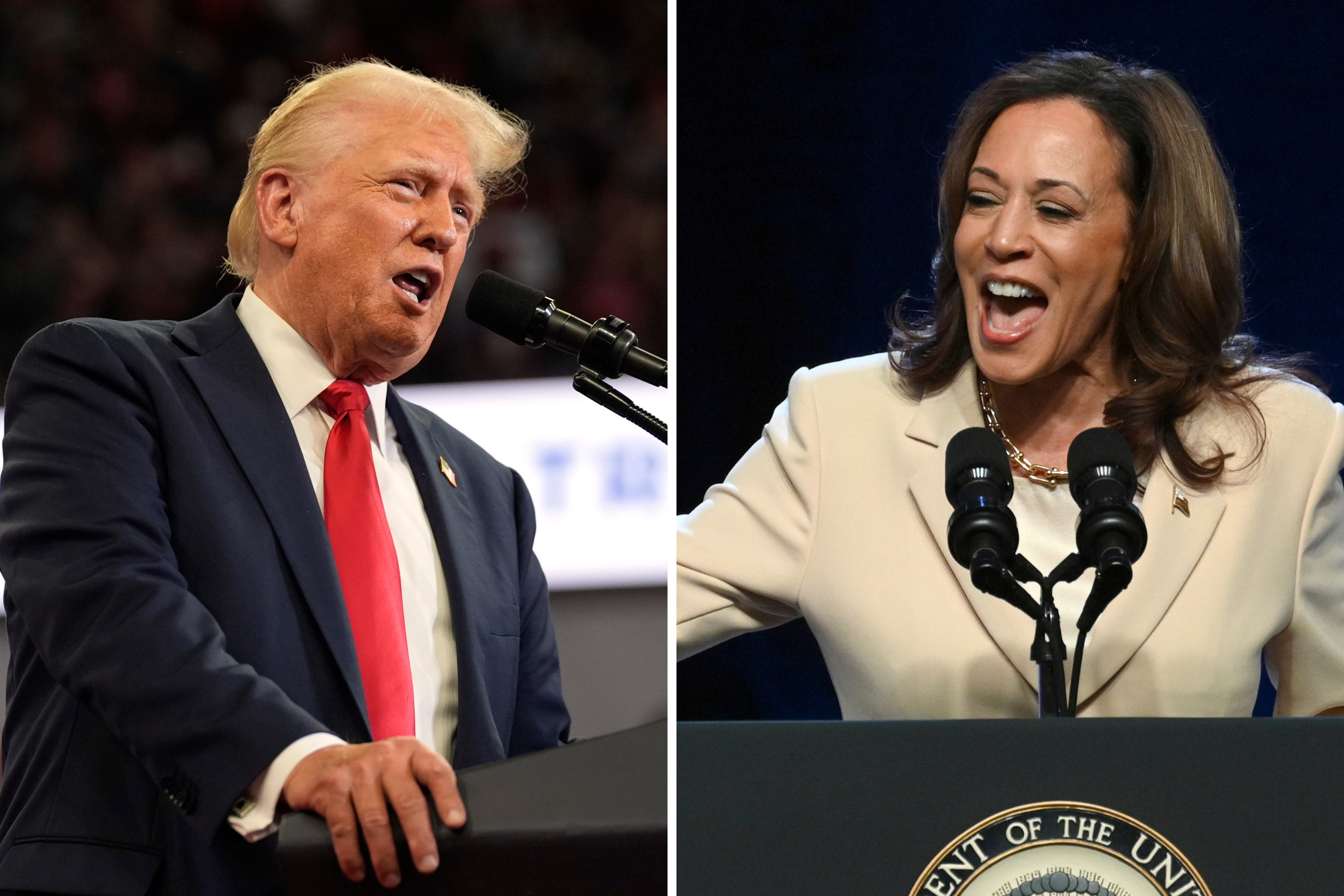 Trump Brands Harris ‘Kamala Crash’ Amid Market Selloff [Video]