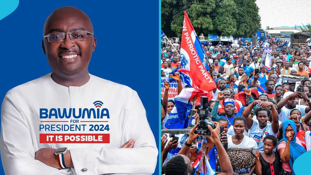 Election 2024: NPP To Present Manifesto In August,11-Member Committee Set Up To Oversee Execution [Video]