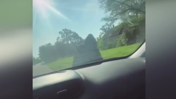 Driver records himself striking bicyclist in Detroit, posts video on social media