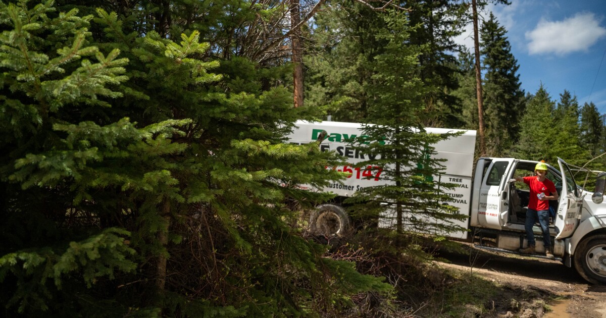 FSA works to help Monarch community recover from spring storms [Video]