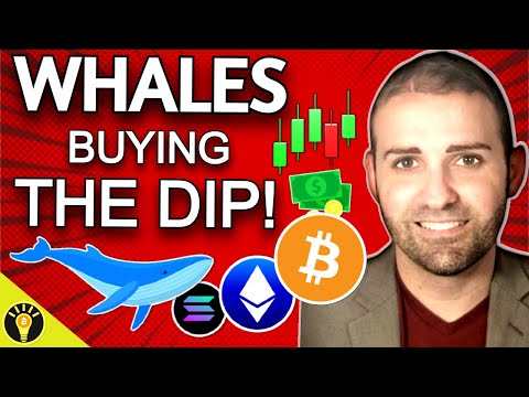 🚨Whales BUY the Bitcoin & Crypto DIP After the Market Crashed!🤯 [Video]