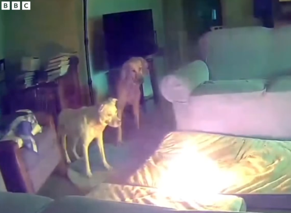 Moment dog sparks house fire after chewing power bank [Video]