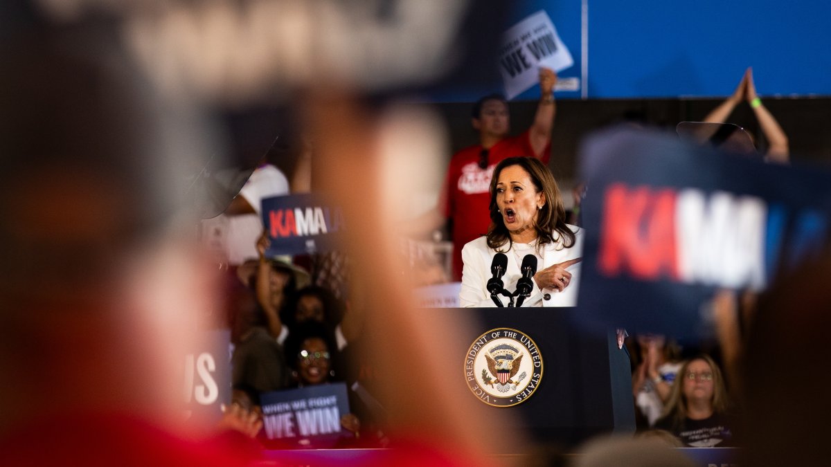 Harris rally in Michigan interrupted by pro-Palestinian protesters  NBC4 Washington [Video]