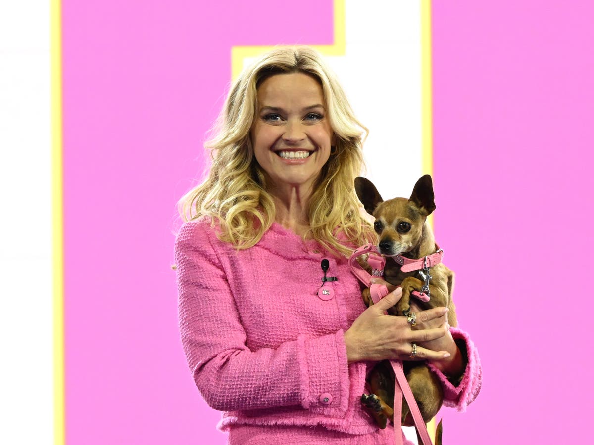 Reese Witherspoon shares moving tribute after family dog dies after 14 years [Video]