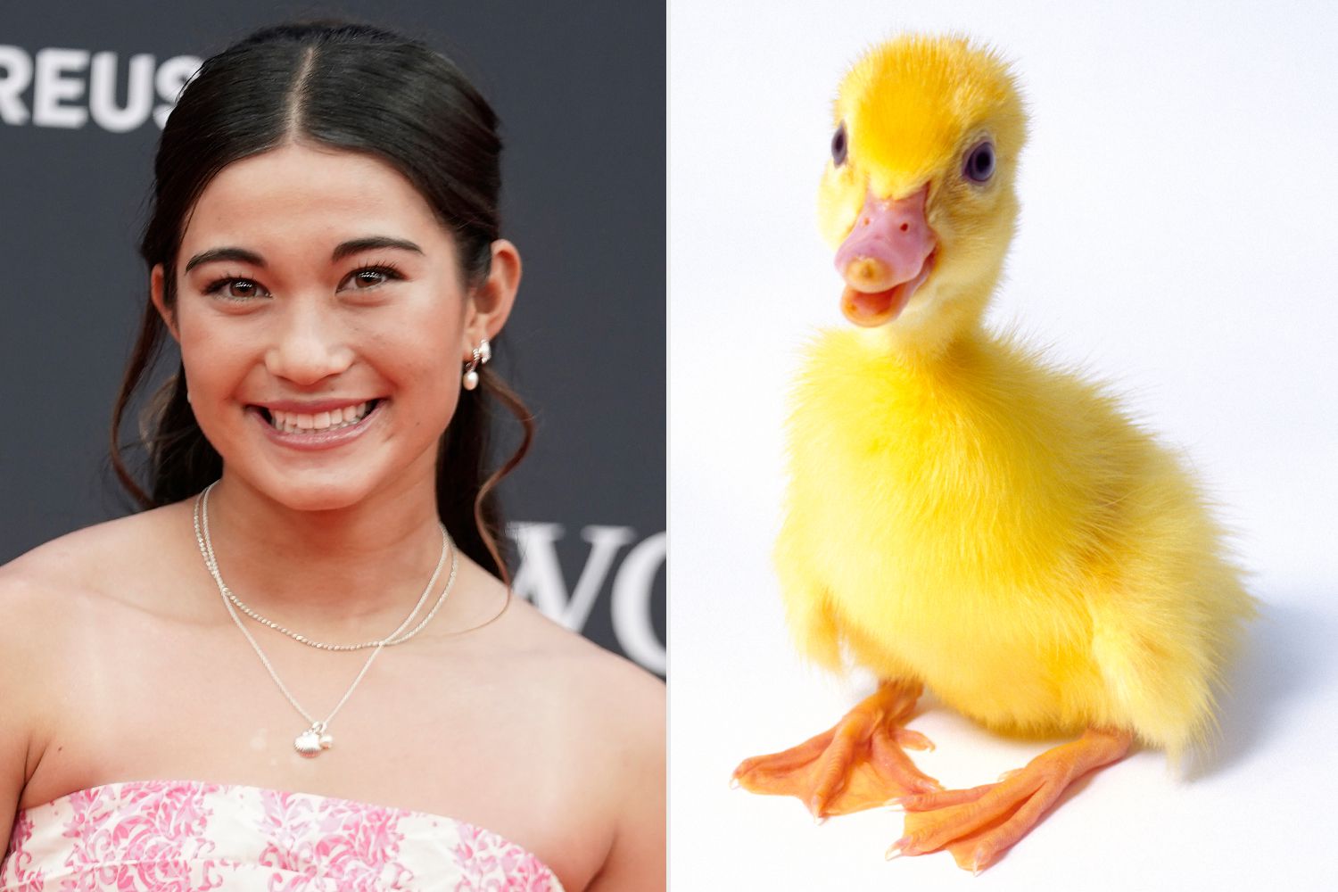 Teen Olympic Skateboarder’s Parents Promised Her a Pet Duck If She Won, Earns Gold Medal [Video]