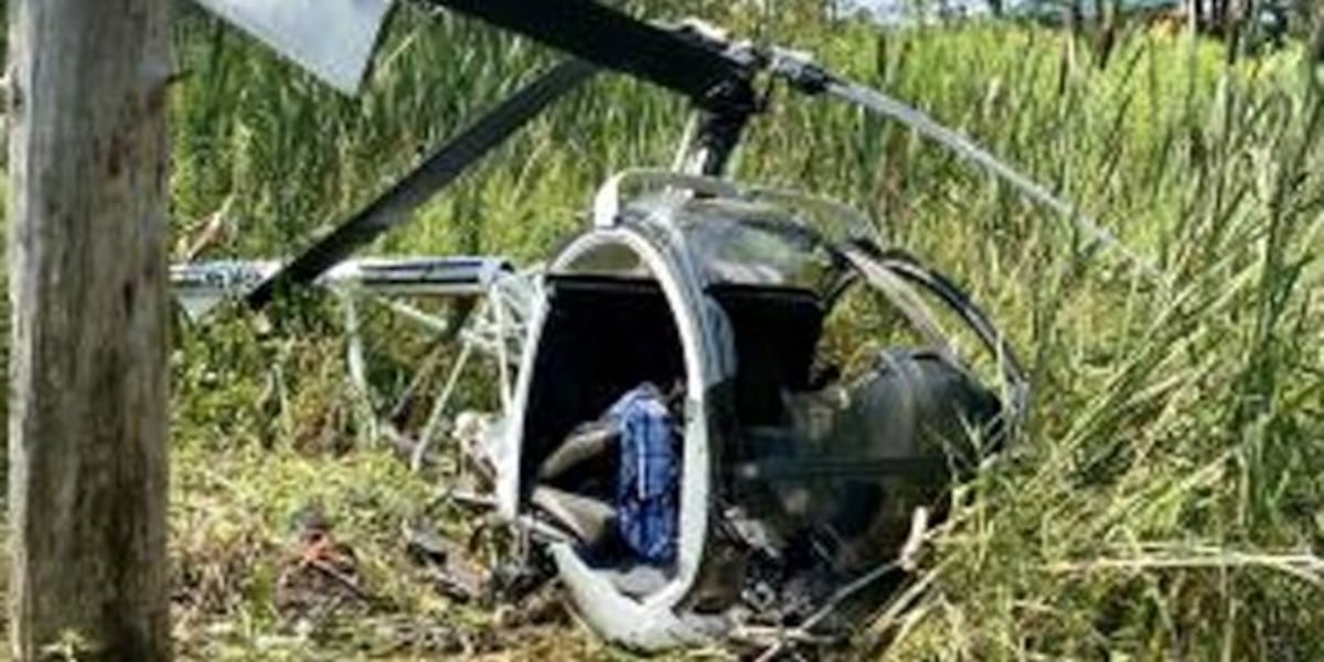 Helicopter crash cause: Wasps nest [Video]