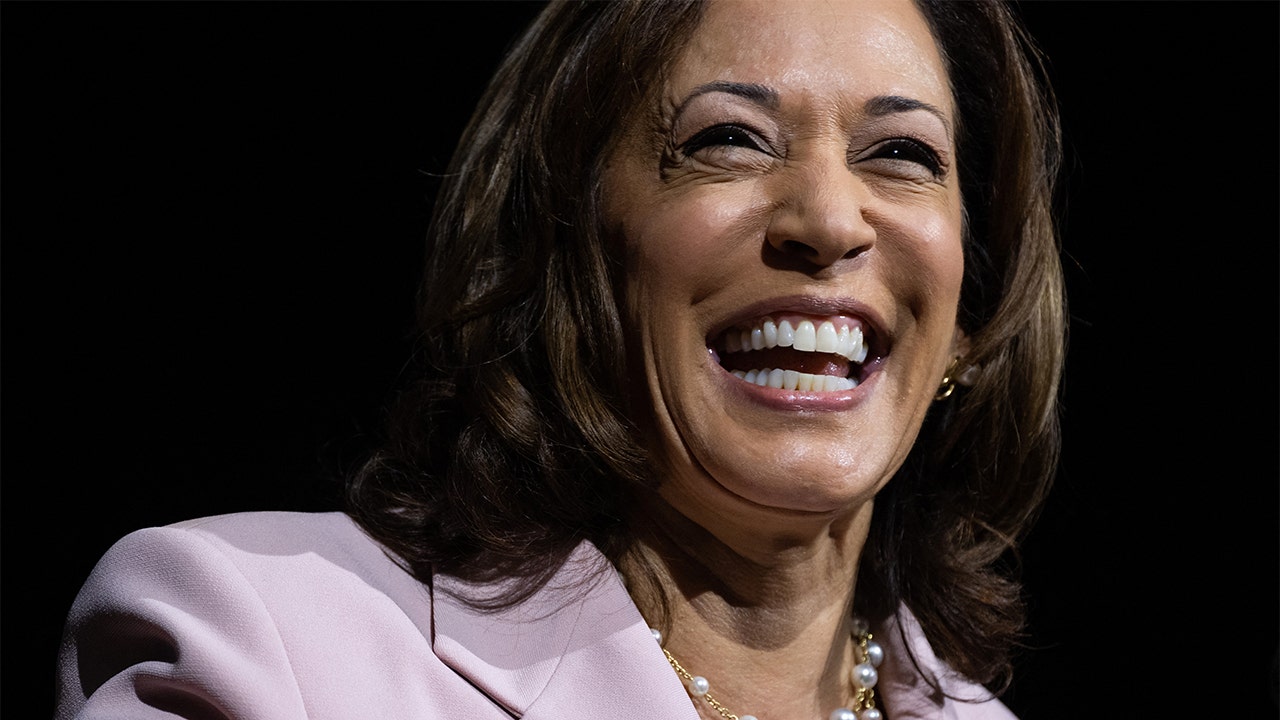 18 Days: Kamala Harris has not held a press conference since emerging as presumptive Democratic nominee [Video]