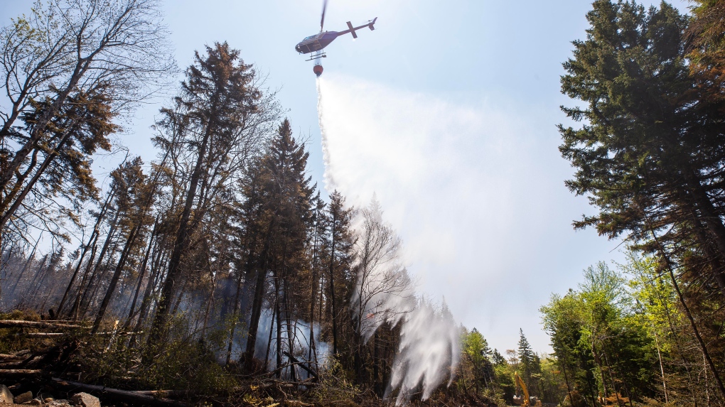 N.S. wildfires: Department asks for public’s help to lay charges [Video]