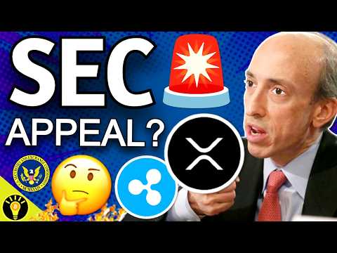 🚨WARNING! SEC to Appeal Ripple XRP Case Ruling? with Fred Rispoli [Video]