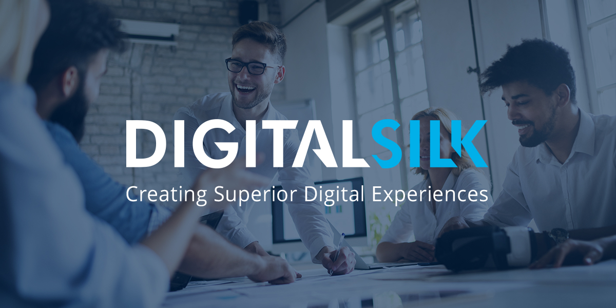 eCommerce Conversion Optimization Services | Digital Silk [Video]